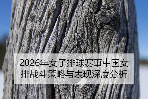 2026年女子排球赛事中国女排战斗策略与表现深度分析