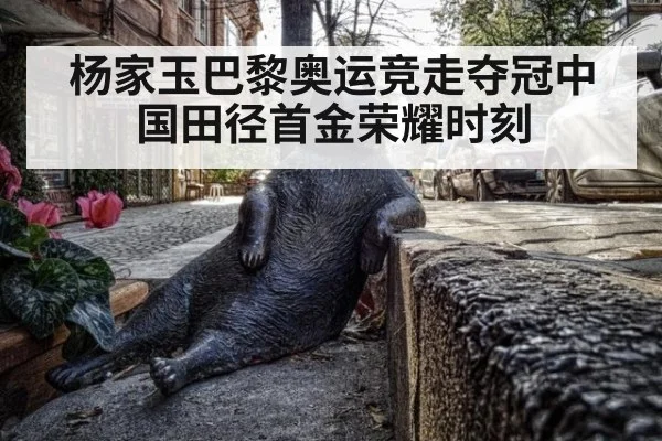 杨家玉巴黎奥运竞走夺冠中国田径首金荣耀时刻
