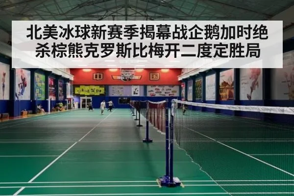 北美冰球新赛季揭幕战企鹅加时绝杀棕熊克罗斯比梅开二度定胜局